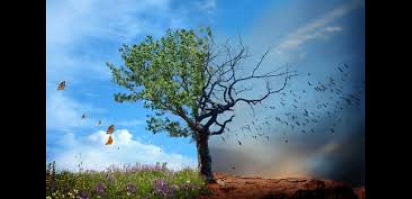 Αρχίζει σήμερα στη Βόννη η αξιολόγηση της Ελλάδας για την Συμφωνία του Παρισιού