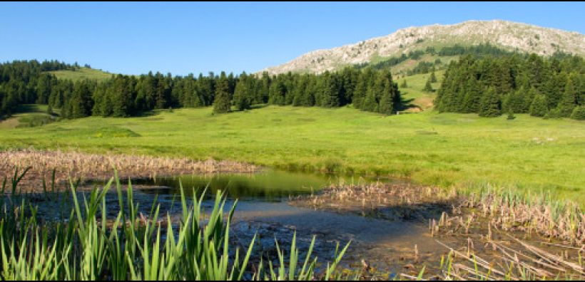 17 εκατ. ευρώ από το χρηματοδοτικό πρόγραμμα LIFE για δράσεις για τη διαχείριση της φύσης στην Ελλάδα