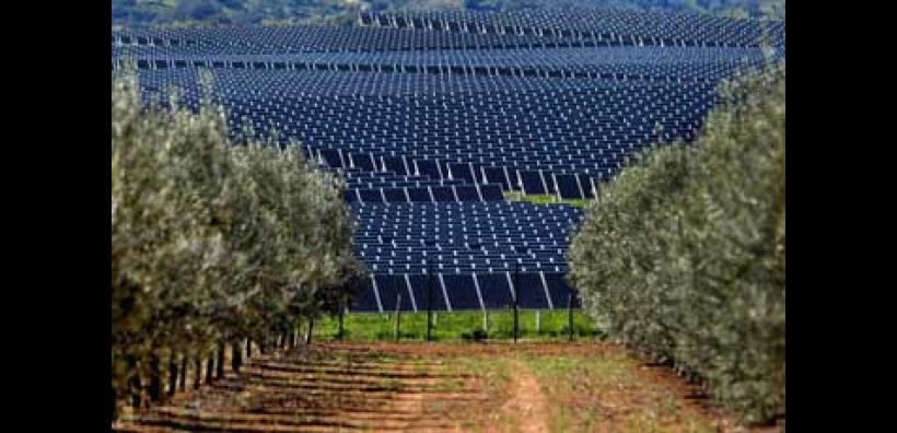 Στην J&amp;P ΑΒΑΞ το φωτοβολταϊκό της ΔΕΗ στη Μεγαλόπολη