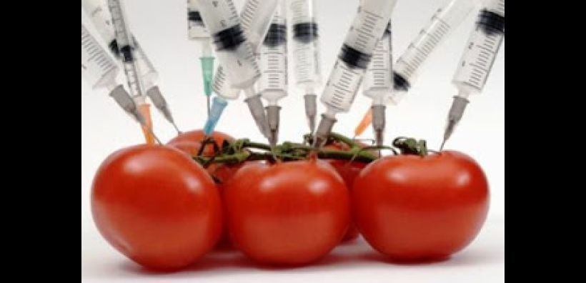 Ρωσία: Απαγορεύτηκε η εισαγωγή μη ελεγμένων μεταλλαγμένων προϊόντων