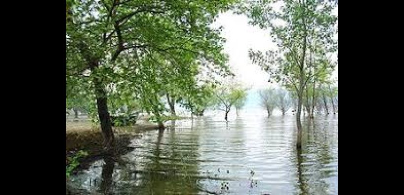 Αρχίζει η εκπόνηση Ειδικών Περιβαλλοντικών Μελετών και η κατάρτιση Σχεδίων Διαχείρισης όλων των περιοχών Natura 2000