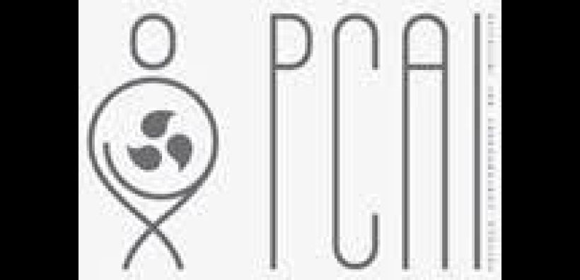 Το PCAI στηρίζει την 6η Biennale Σύγχρονης Τέχνης Θεσσαλονίκης