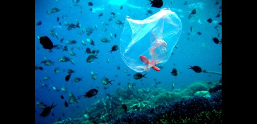 Ανησυχητική συσσώρευση πλαστικών απορριμμάτων στη Μεσόγειο