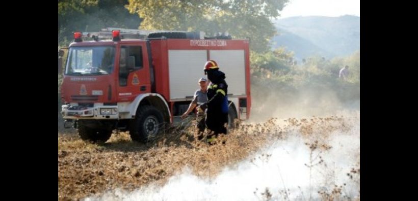 «Καμπανάκι» από WWF για τη δασοπροστασία