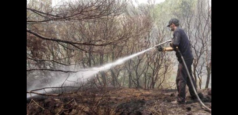 Υπό έλεγχο η πυρκαγιά στη Νεμέα Κορινθίας