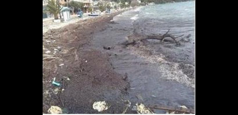 Σύσκεψη για τη θαλάσσια ρύπανση στην Πάφο