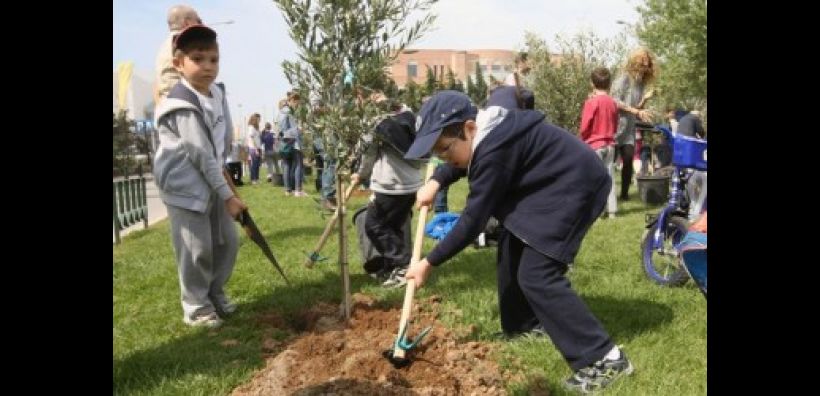 700 δένδρα φυτεύτηκαν στα πεζοδρόμια της Αθήνας