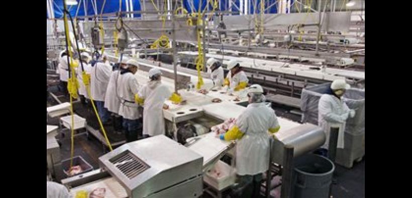 Αύξηση 0,6% στο δείκτη τιμών παραγωγού τον Ιούνιο