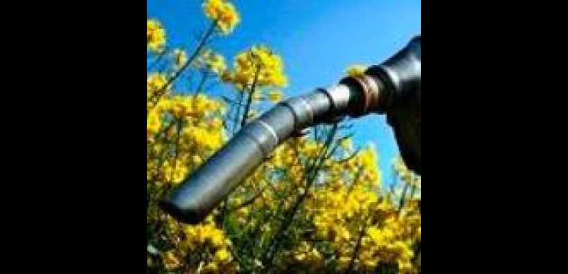Κατανομή 132.000 χιλιολίτρων αυτούσιου βιοντίζελ