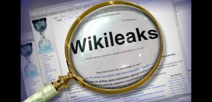 WildLeaks, το «Wikileaks» των οικολογικών εγκλημάτων