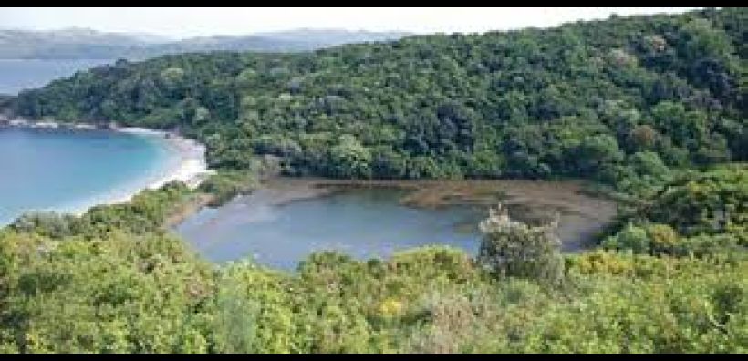 Εσπερίδα για το πρόγραμμα του WWF για τη σημασία της προστασίας των νησιωτικών υγροτόπων