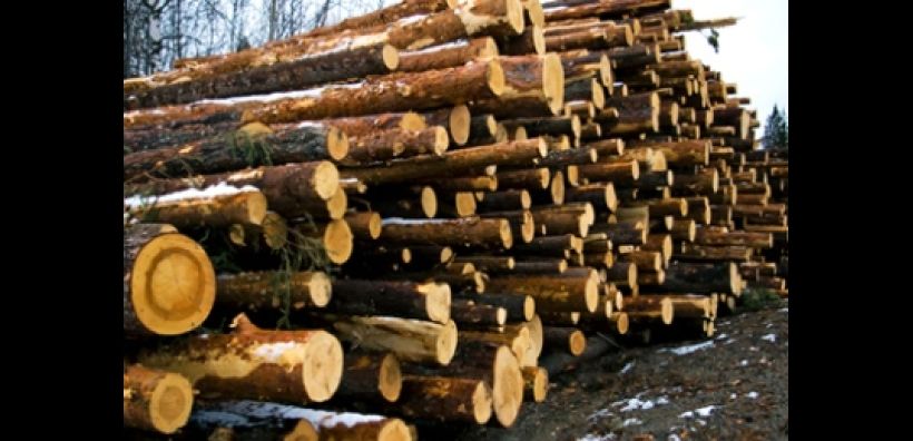 Σε παρέμβαση στην τιμή των καυσόξυλων και του πέλετ προχωρά το υπουργείο Ανάπτυξης
