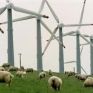 Σε πώληση οδηγείται και η ΔΕΗ Ανανεώσιμες - Άμεσα οι μονάδες