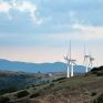 ΕΠΒΘ: Τι πρέπει να μας ανησυχεί περισσότερο; Οι επιπτώσεις στη φύση κάθε αιολικού ξεχωριστά ή όλων μαζί, τωρινών και μελλοντικών;