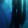H BlueCycle υποψήφια για το Earthshot Prize 2022 - Στήριξη από σημαντικούς φορείς