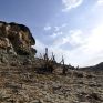 Σύμφωνο συνεργασίας Καλιφόρνιας - Κίνας για την κλιματική αλλαγή και για καθαρή τεχνολογία