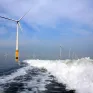 ΕΕΣ: Δύσκολη η επίτευξη των στόχων της ΕΕ για τα υπεράκτια αιολικά - «Κλειδί» το κόστος και οι περιβαλλοντικές επιπτώσεις