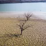 Κλιματική αλλαγή: Η βόρεια Ευρώπη πλήττεται από πρωτοφανή ξηρασία
