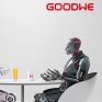 DC/AC Dialogues Greece Webinar: Η GoodWe παρουσιάζει τη νέα γενιά λύσεων για Φωτοβολταϊκά Μπαλκονιού με Αποθήκευση