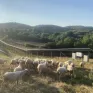 «ΚΟΙΝΕΡΓΕΙΑ»: Αλληλεγγύη, καθαρή ενέργεια και φθηνό ρεύμα