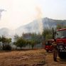 Κάρβουνο το 16% των δασών της Αττικής στις πρόσφατες πυρκαγιές