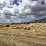 Η ΕΕ «πρασινίζει» τη γεωργία έως το 2030