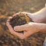 Η Bayer ξεκινά δράση για τη δέσμευση άνθρακα δίνοντας μια νέα ευκαιρία στους παραγωγούς