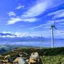 Wind Europe: Κάτω από τον πήχη του ΕΣΕΚ αναμένεται η συνολική ισχύς αιολικών στη χώρα το 2030 – «Σε πάγο» τα offshore έργα μέχρι το τέλος της δεκαετίας