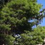 Φ/Β «δαχτυλίδι» από τη Σελήνη θα στέλνει ενέργεια στη Γη