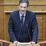 Σκυλακάκης: Τα χρήματα της πυροπροστασίας δεν αρκούν αν δεν δημιουργήσουμε μία οικονομία του δάσους