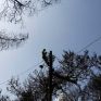Τα καλώδια της ΔΕΗ ενοχοποιούνται για πολλές φωτιές