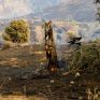Ρέθυμνο: Συνελήφθη ο υπεύθυνος λειτουργίας δικτύου του ΔΕΔΔΗΕ για τη φωτιά
