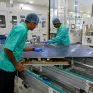 Ινδία: Η παραγωγική ικανότητα φωτοβολταϊκών πάνελ ξεπερνά τα 210 GW