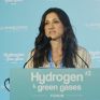 Βαρδαβά (ΔΕΠΑ): Το έργο LIFE GREENH2ORN και ο σχεδιασμός για τη Δυτική Μακεδονία