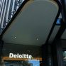 Deloitte: Οι συνέπειες της πράσινης μετάβασης των επιχειρήσεων στον πιστωτικό κίνδυνο