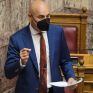 Αμυράς: Μέσα στις επόμενες ημέρες θα καθαριστούν 40.000 στρέμματα κρίσιμων δασικών οικοσυστημάτων
