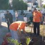 Δενδροφύτευση στο Μαρούσι από την "Μεσσαρίτης Ανανεώσιμες" 