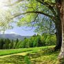 IPCC: Η κλιματική αλλαγή θα αγγίξει τους πάντες