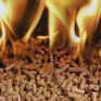 Λαμία: Παραγωγή pellet από δημοτικά κλαδέματα