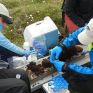 Μικροσκοπικά μικρόβια ενισχύουν την υπερθέρμανση του πλανήτη