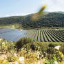 SolarPower Europe: Εκ των πρωταγωνιστών στα φωτοβολταϊκά θα είναι η Ελλάδα τα επόμενα χρόνια - Τι δείχνουν οι εκτιμήσεις του συνδέσμου