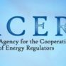 ΡΑΕ: Διαβούλευση για προτάσεις του ACER για την κατανομή δυναμικότητας και τη διαχείριση συμφόρησης