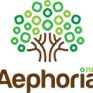 Νέος κύκλος επιχειρηματικών προτάσεων στο Aephoria.net