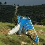 9 χρόνια από τη συντριβή του αεροσκάφους της κυπριακής «Ήλιος»
