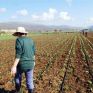 Αφορολόγητο πετρέλαιο και ρεύμα στα 7 λεπτά ζητούν οι αγρότες με υπόμνημα προς την κυβέρνηση