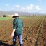 Η αποθήκευση άνθρακα, νέα πρόκληση για την παγκόσμια γεωργία