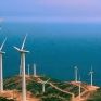 Ημερίδα για την αειφορία στα νησιά από το δίκτυο ΔΑΦΝΗ