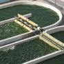 Νέα επένδυση για την Algae Farms στα βιοκαύσιμα
