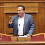 Αντωνιάδης: Να εκδοθεί το ΦΕΚ για την αποδέσμευση από τη ΔΕΗ 12000 στρ. στη Λεβαία