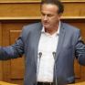 Γ. Αντωνιάδης: Εάν πτωχεύσει η ΔΕΗ ποιος θα αναλάβει το κόστος των περιβαλλοντικών επιπτώσεων
